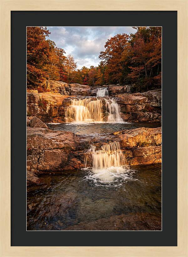 Willow Falls Serenity