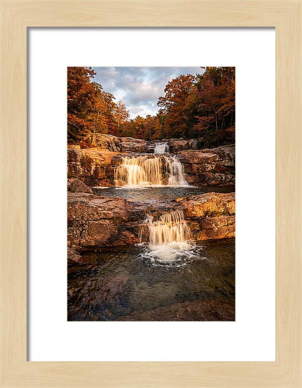 Willow Falls Serenity