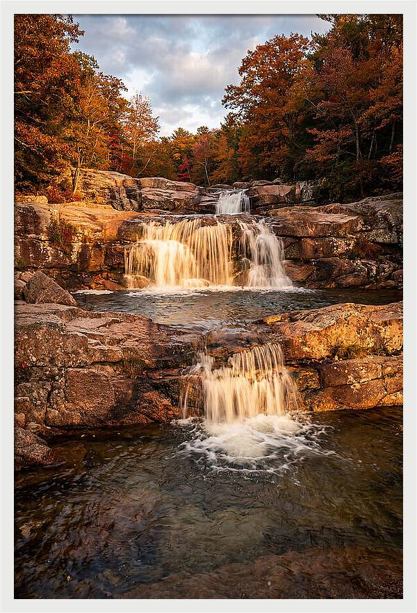 Willow Falls Serenity