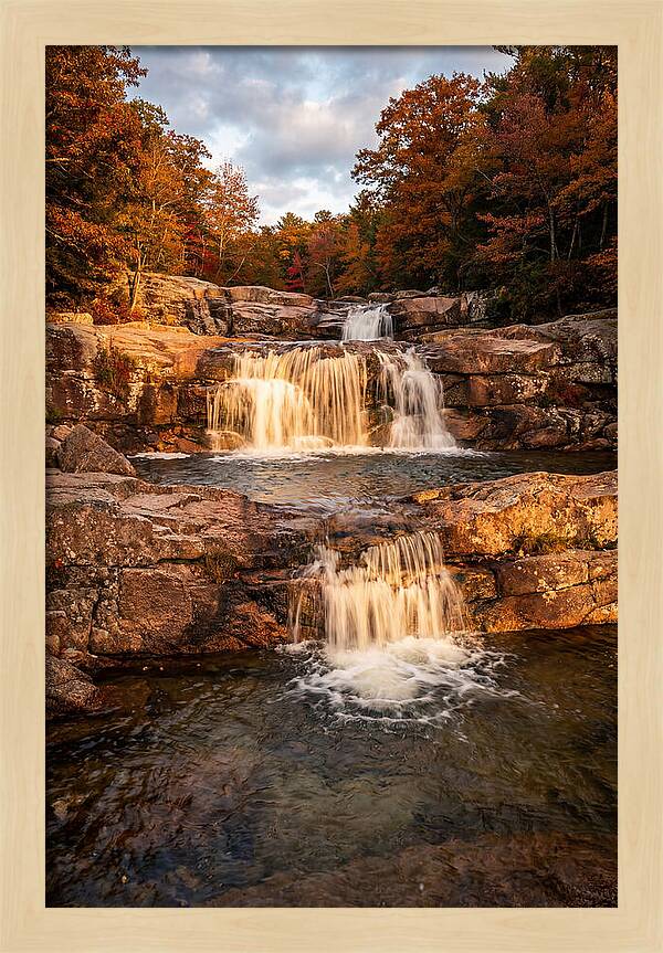Willow Falls Serenity