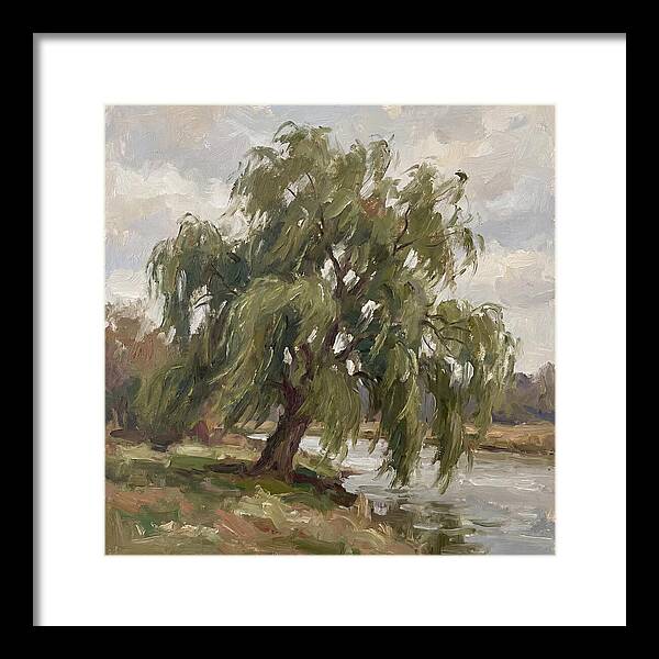 Willow Tree By The River
