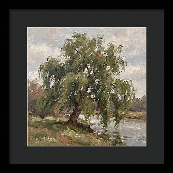 Willow Tree By The River