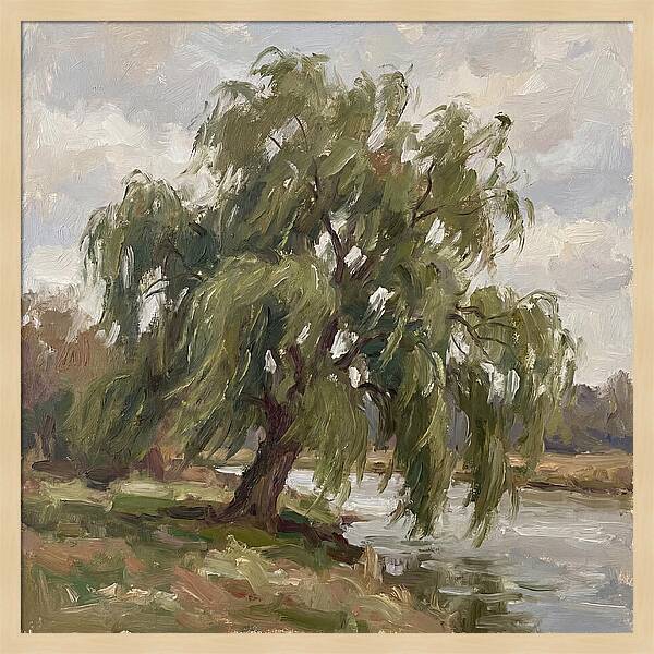 Willow Tree By The River