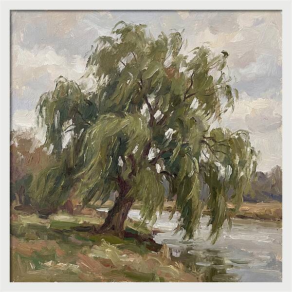 Willow Tree By The River