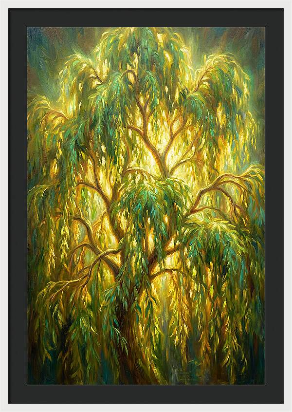 Willow Tree