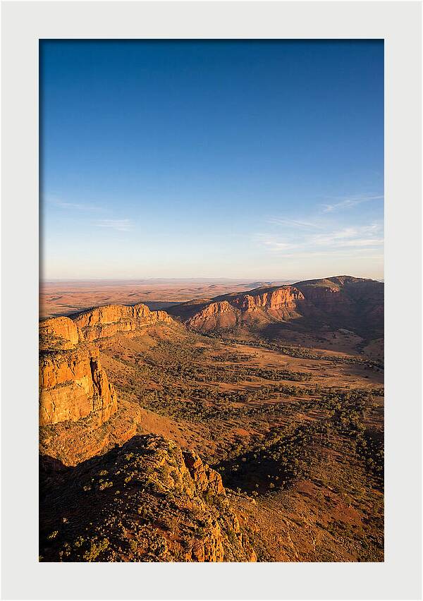 Wilpena Pound At Sunrise