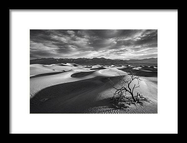 Wind Sculpted Dunes In Monochrome