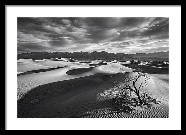 Wind Sculpted Dunes In Monochrome