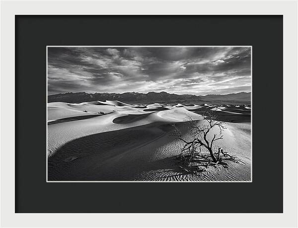 Wind Sculpted Dunes In Monochrome