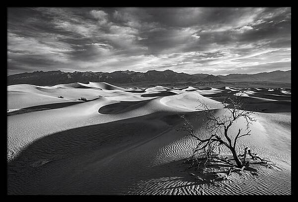 Wind Sculpted Dunes In Monochrome
