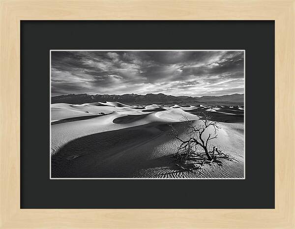 Wind Sculpted Dunes In Monochrome