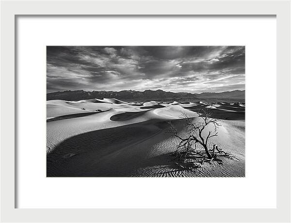 Wind Sculpted Dunes In Monochrome