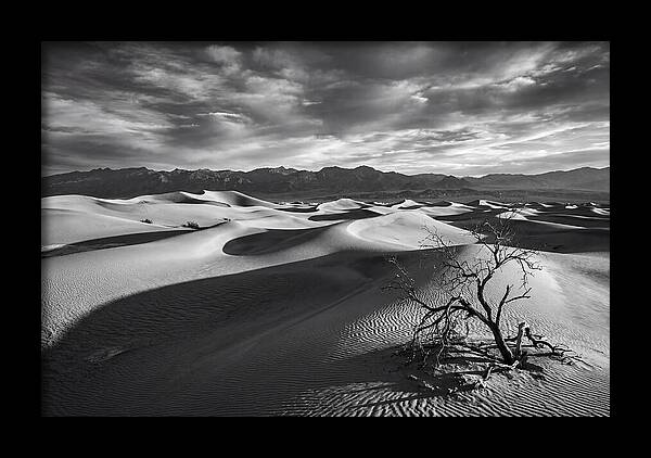 Wind Sculpted Dunes In Monochrome