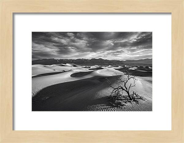 Wind Sculpted Dunes In Monochrome