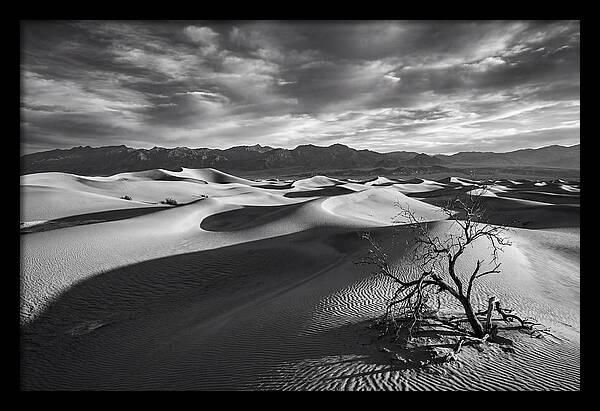 Wind Sculpted Dunes In Monochrome