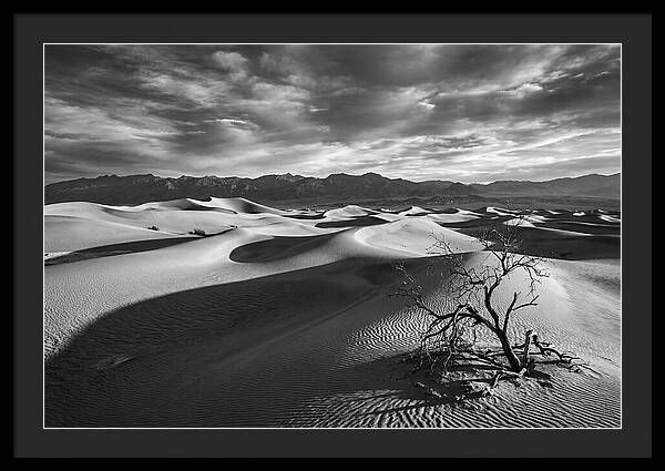 Wind Sculpted Dunes In Monochrome