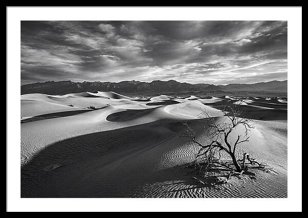 Wind Sculpted Dunes In Monochrome