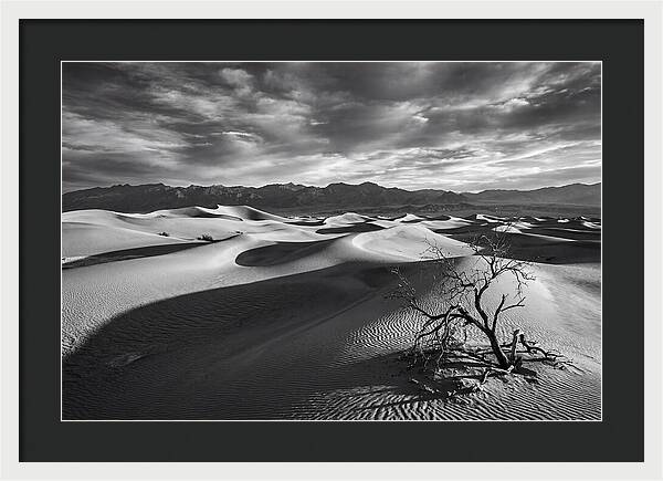 Wind Sculpted Dunes In Monochrome