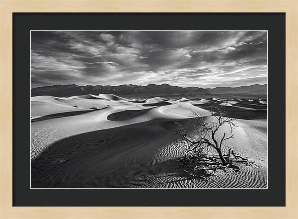 Wind Sculpted Dunes In Monochrome