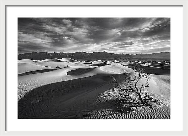 Wind Sculpted Dunes In Monochrome