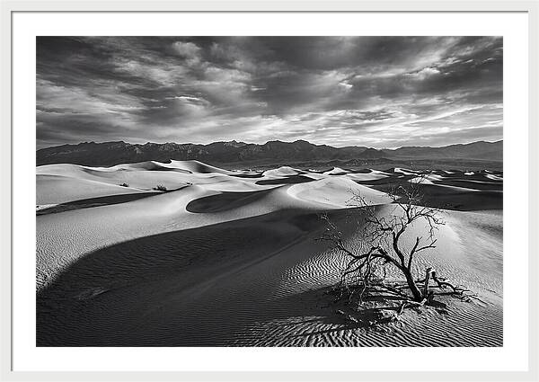 Wind Sculpted Dunes In Monochrome