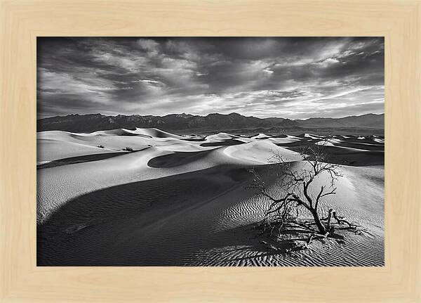 Wind Sculpted Dunes In Monochrome