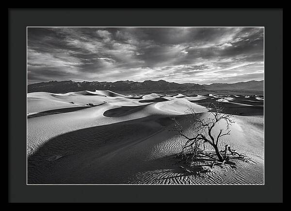 Wind Sculpted Dunes In Monochrome