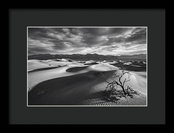 Wind Sculpted Dunes In Monochrome