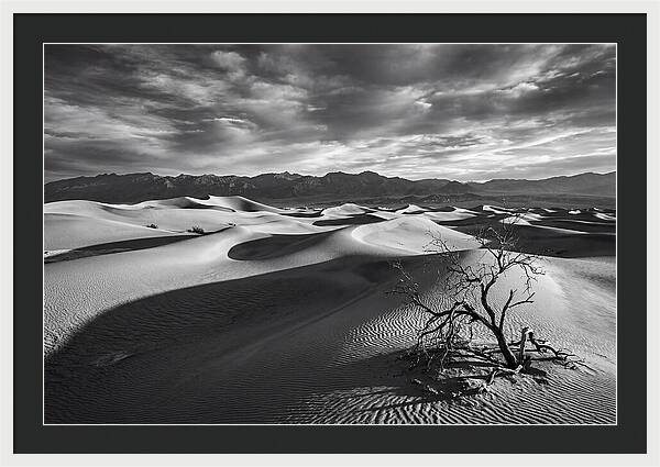 Wind Sculpted Dunes In Monochrome