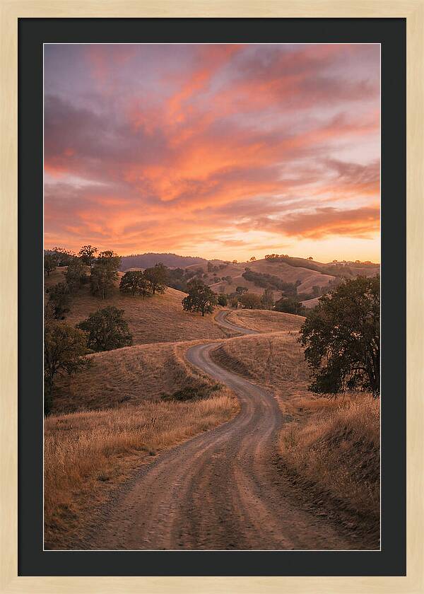 Winding Dirt Road At Dusk