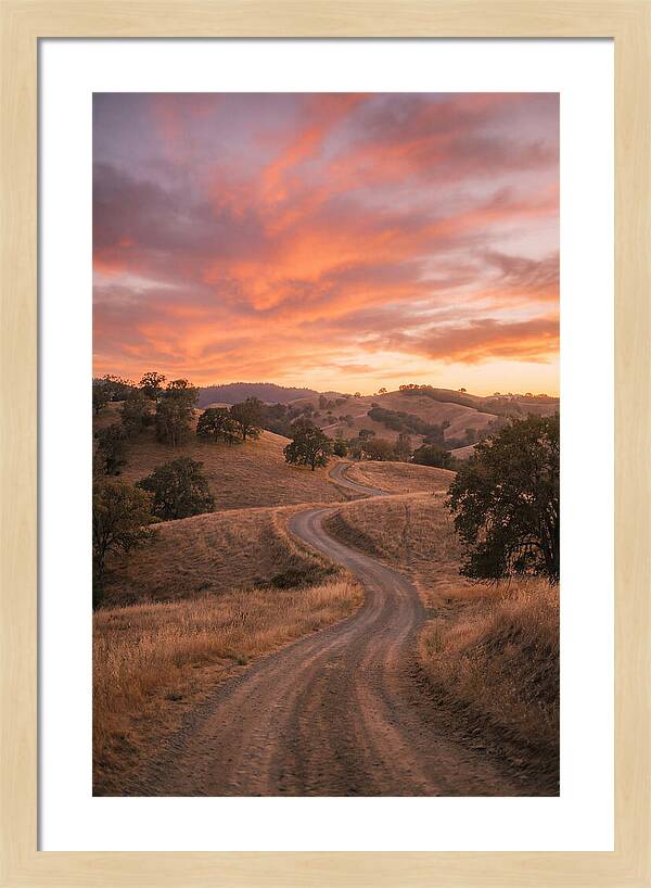 Winding Dirt Road At Dusk