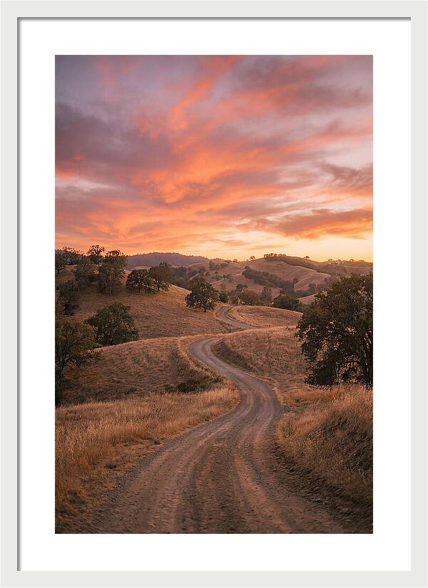 Winding Dirt Road At Dusk