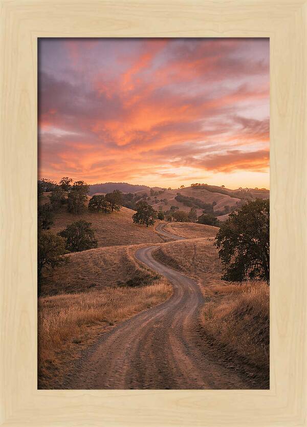 Winding Dirt Road At Dusk