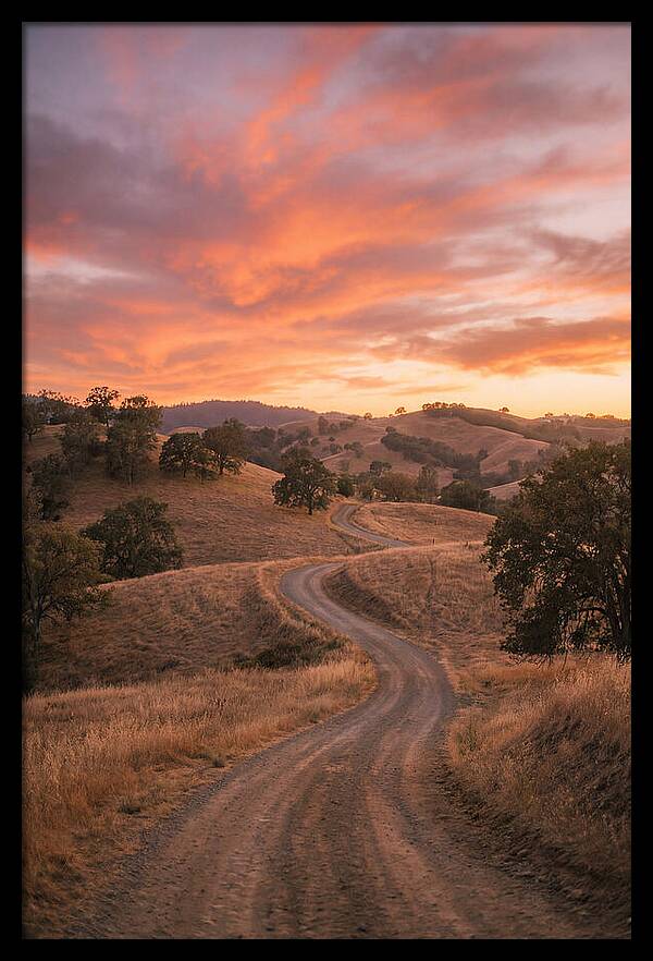 Winding Dirt Road At Dusk