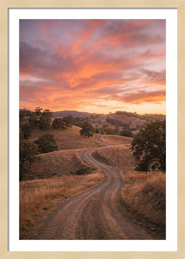 Winding Dirt Road At Dusk