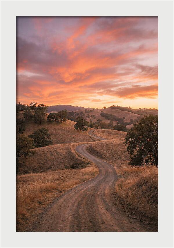 Winding Dirt Road At Dusk