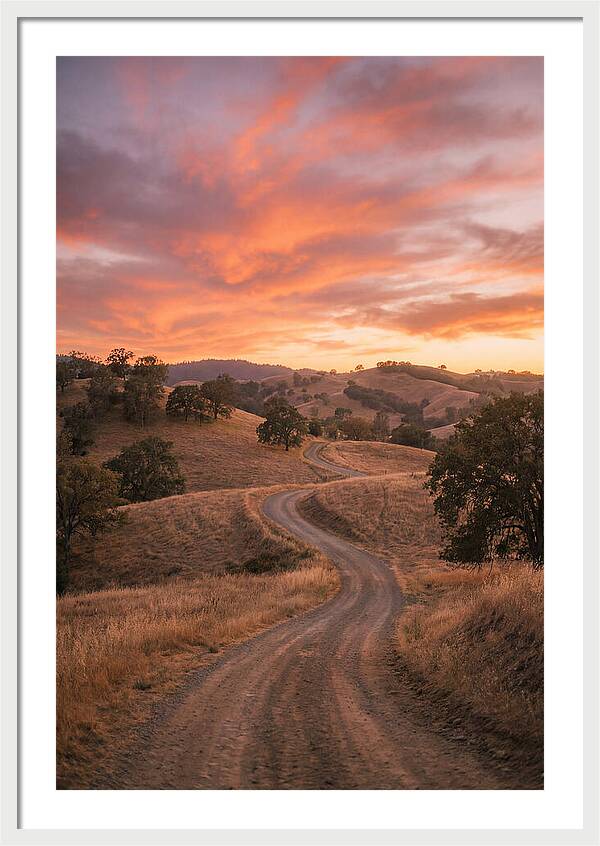Winding Dirt Road At Dusk
