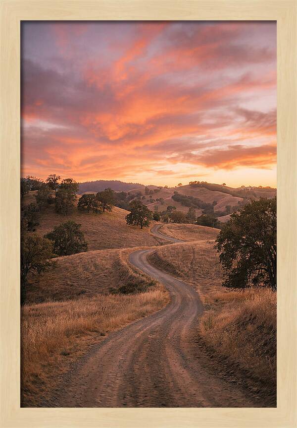 Winding Dirt Road At Dusk