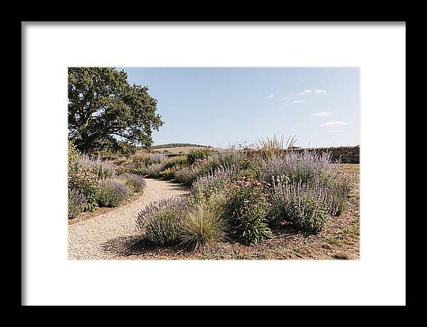 Winding Garden Path Through Mixed Border