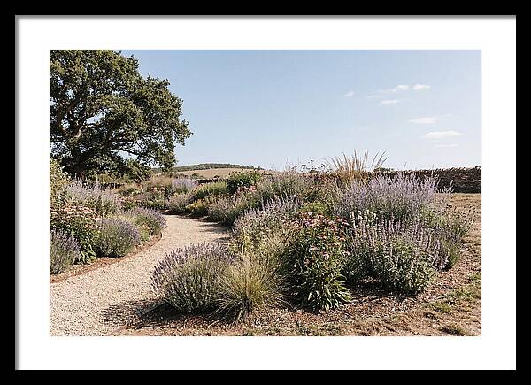 Winding Garden Path Through Mixed Border