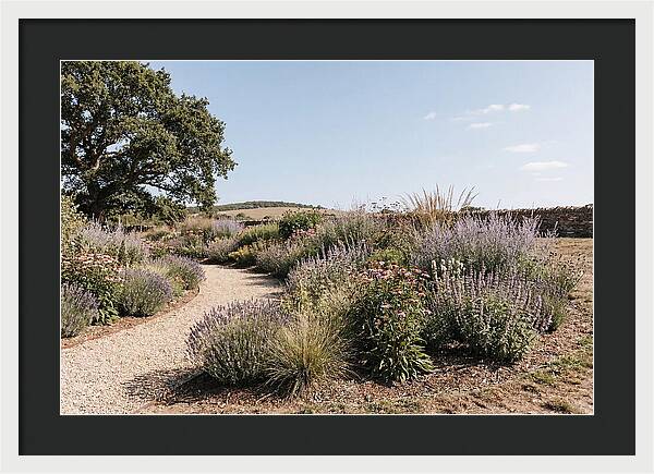 Winding Garden Path Through Mixed Border