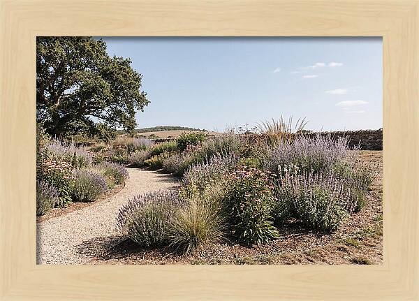 Winding Garden Path Through Mixed Border