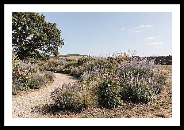 Winding Garden Path Through Mixed Border