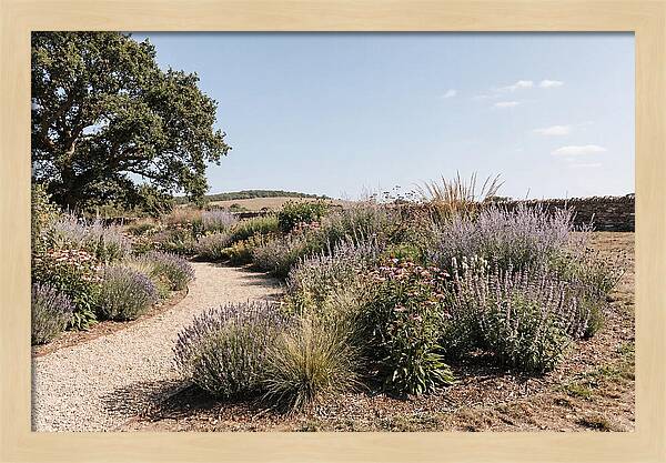 Winding Garden Path Through Mixed Border