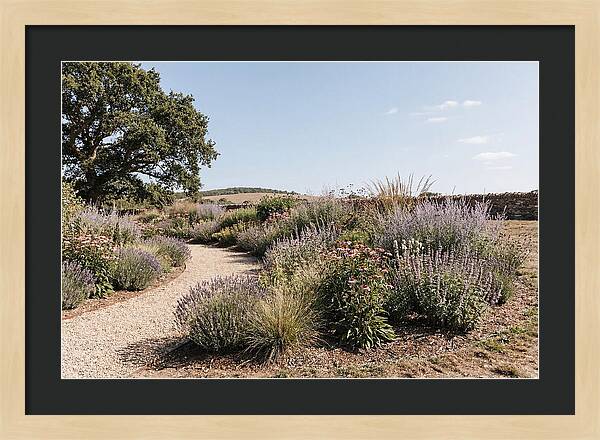 Winding Garden Path Through Mixed Border