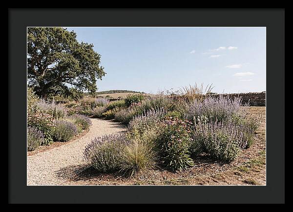 Winding Garden Path Through Mixed Border