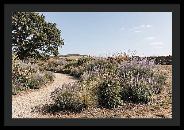 Winding Garden Path Through Mixed Border