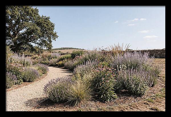Winding Garden Path Through Mixed Border
