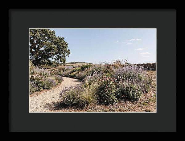 Winding Garden Path Through Mixed Border