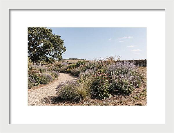 Winding Garden Path Through Mixed Border